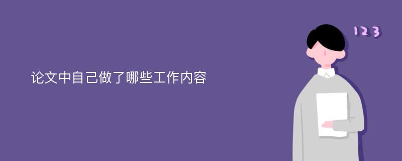 论文中自己做了哪些工作内容